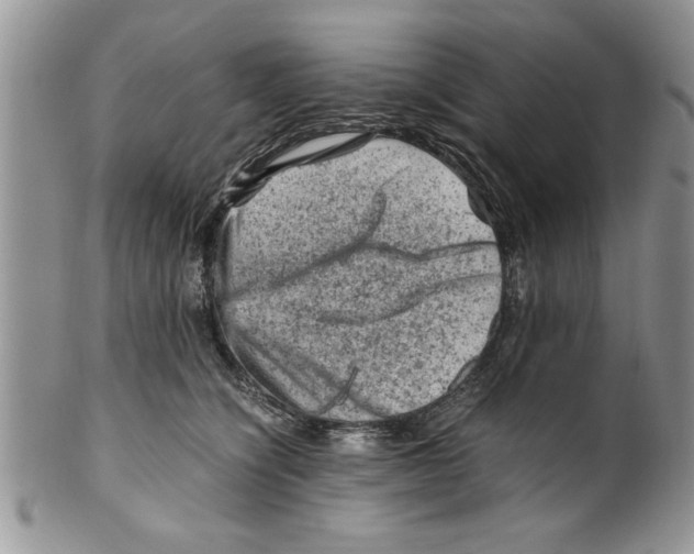 X0000099530564200806131130