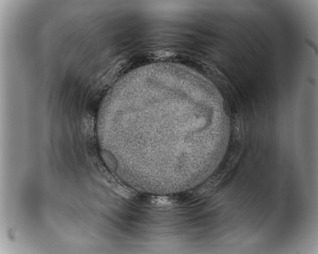 X0000099530565200806131130