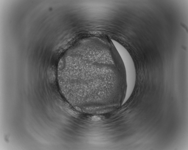 X0000099530566200806131130