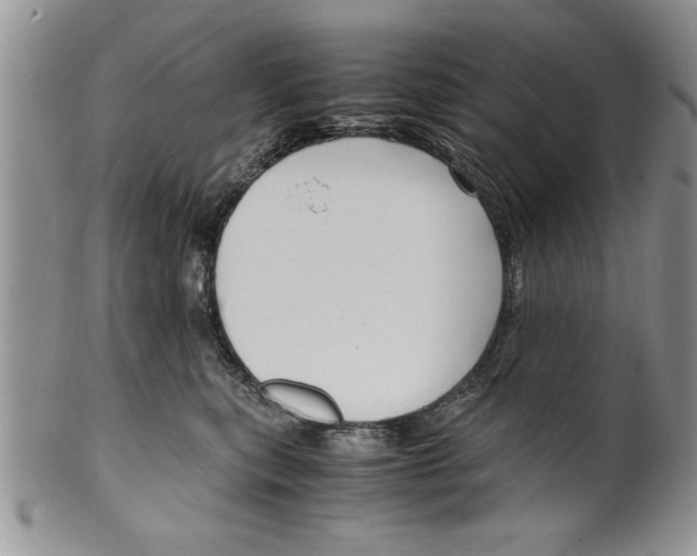 X0000099530567200806131130