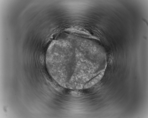 X0000099530568200806131130