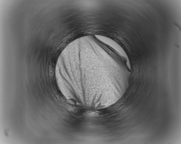 X0000099530569200806131130