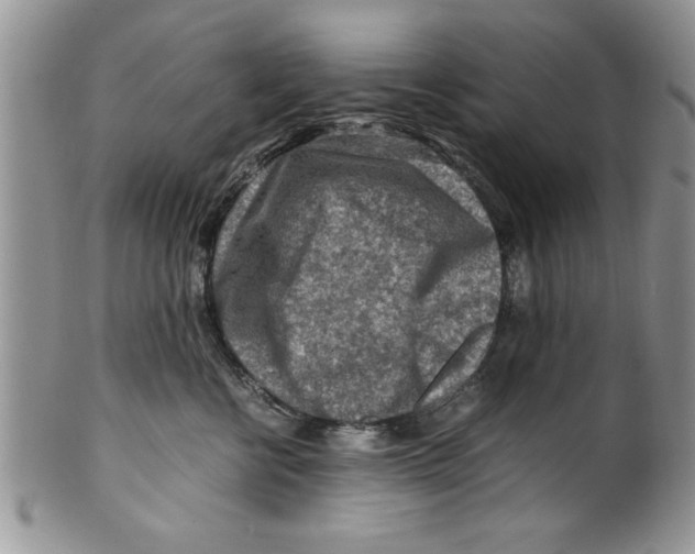 X0000099530570200806131130