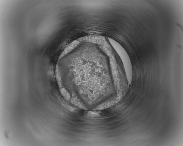 X0000099530573200806131130