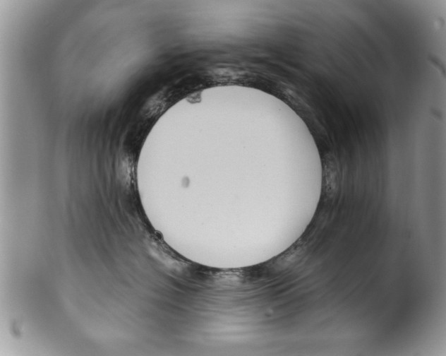 X0000099530574200806131130