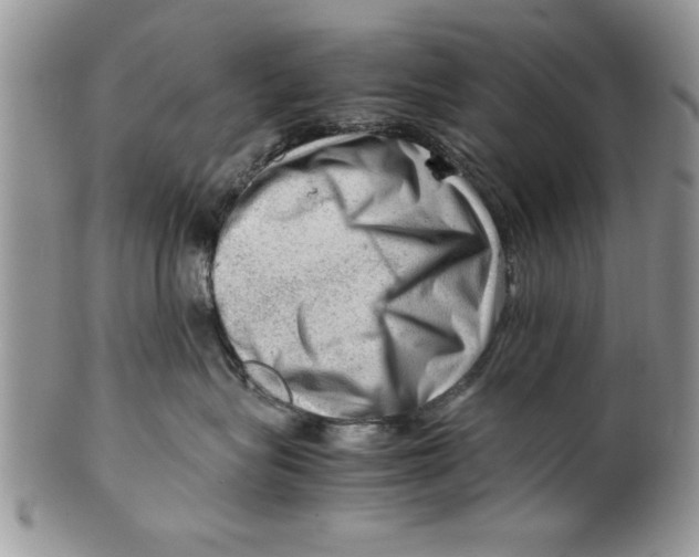 X0000099530575200806131130