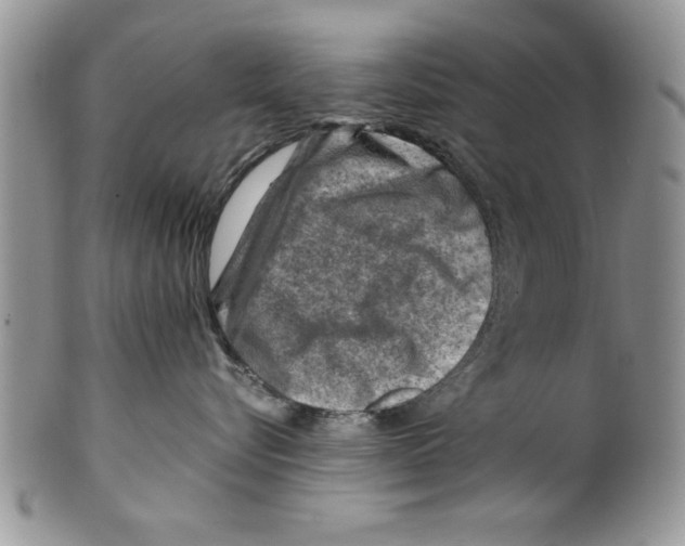 X0000099530576200806131130