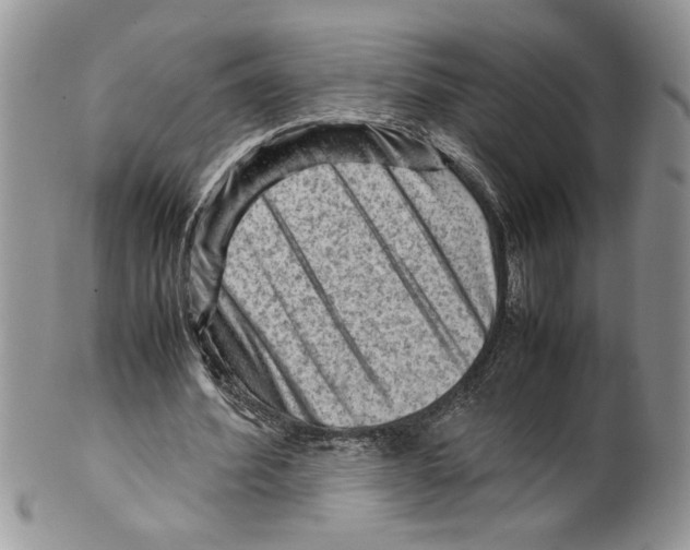 X0000099530580200806131129