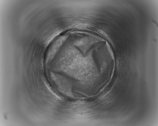 X0000099530581200806131129