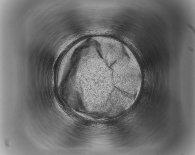 X0000099530582200806131129