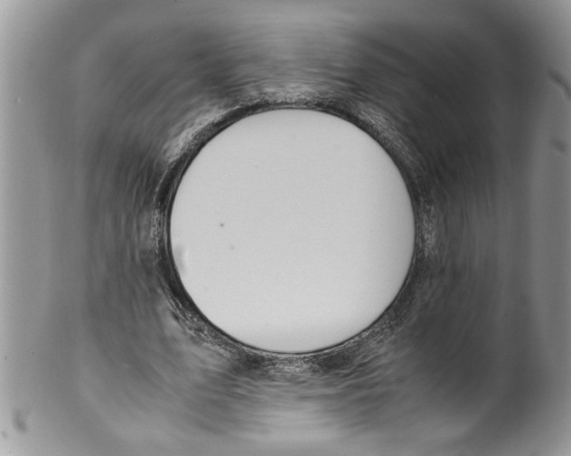 X0000099530583200806131129