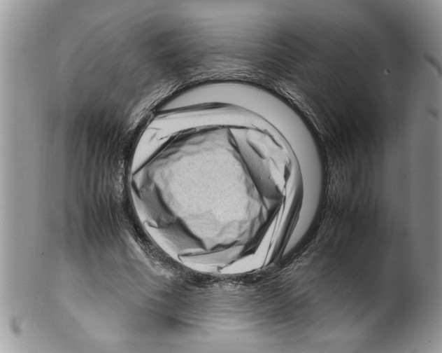 X0000099530586200806131129