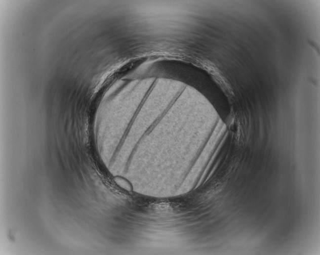 X0000099530588200806131129