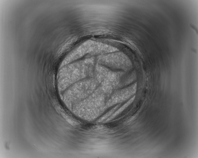 X0000099530589200806131129