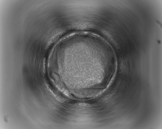 X0000099530590200806131129