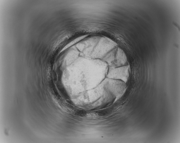 X0000099530591200806131129