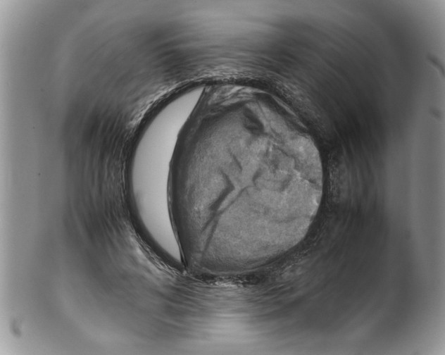 X0000099530592200806131129