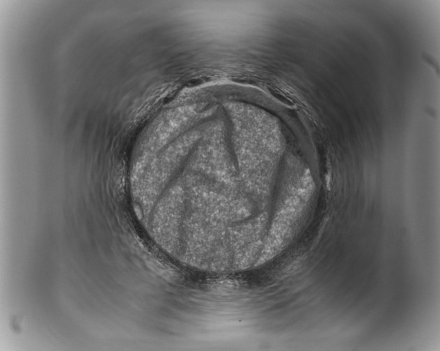 X0000099530593200806131129