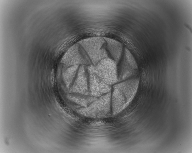 X0000099530594200806131129