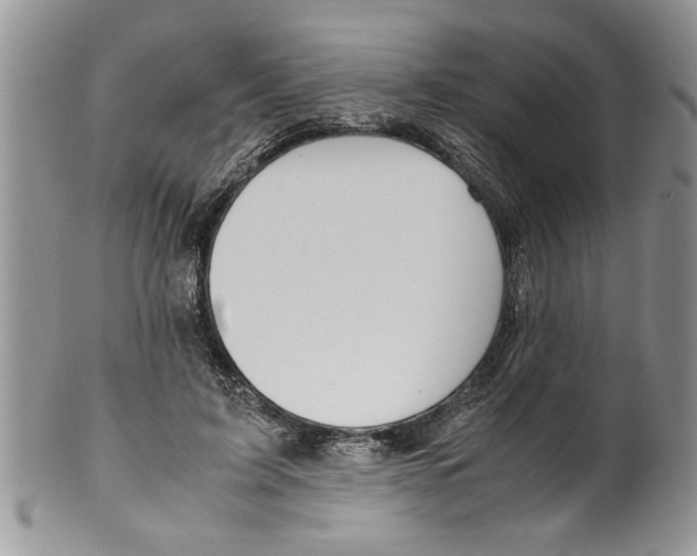 X0000099530595200806131129