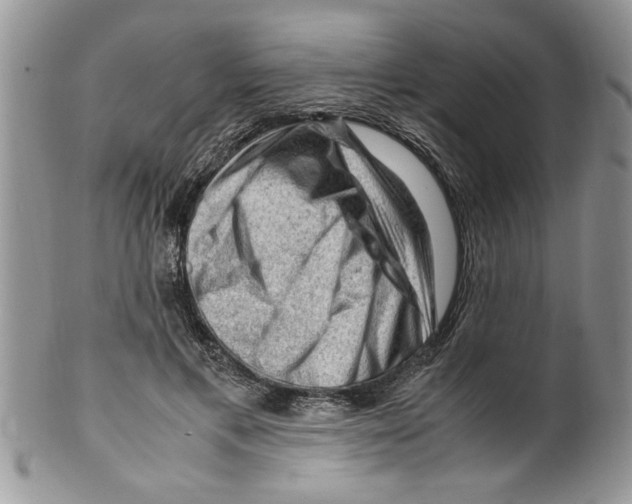 X0000099530597200806131129