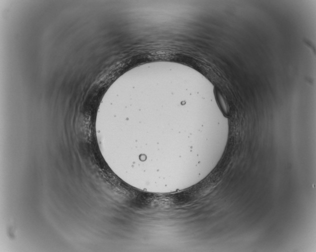 X0000099530599200806131129