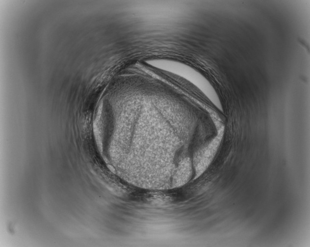 X0000099530601200806131129