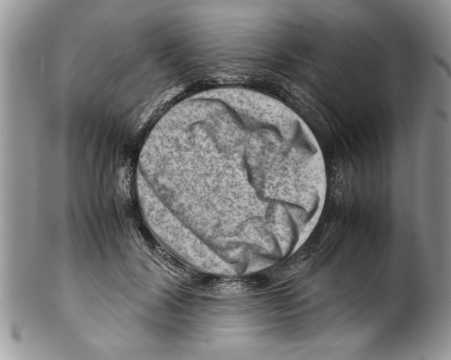 X0000099530604200806131129