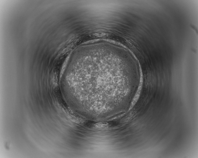 X0000099530606200806131129