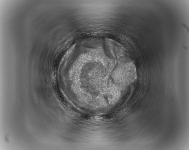 X0000099530607200806131129