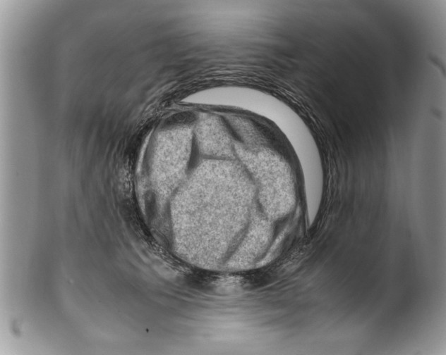 X0000099530609200806131129