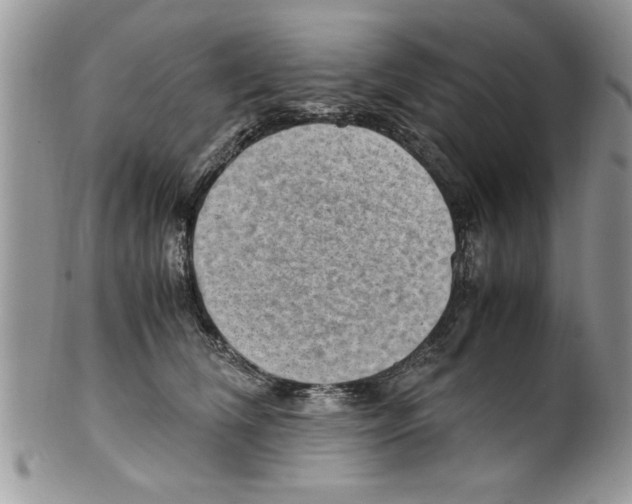 X0000099530612200806131129