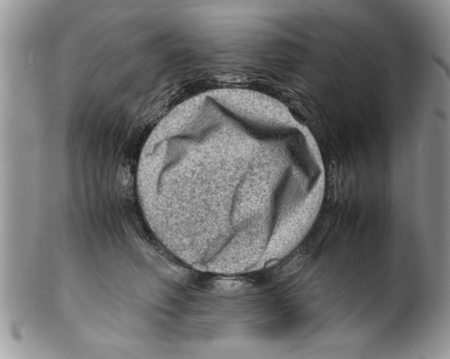 X0000099530614200806131129