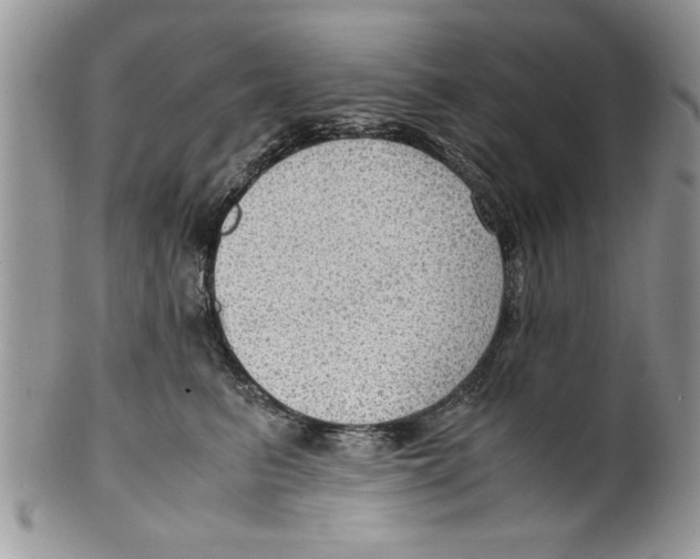 X0000099530615200806131129