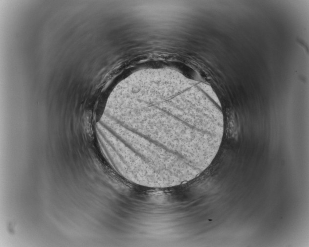 X0000099530616200806131129