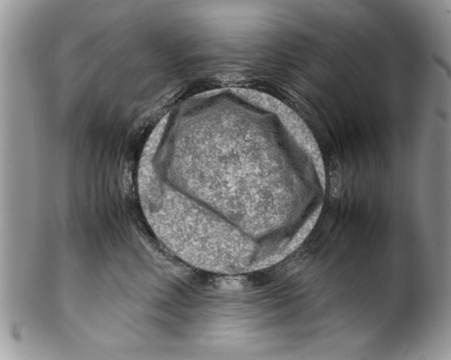 X0000099530618200806131129