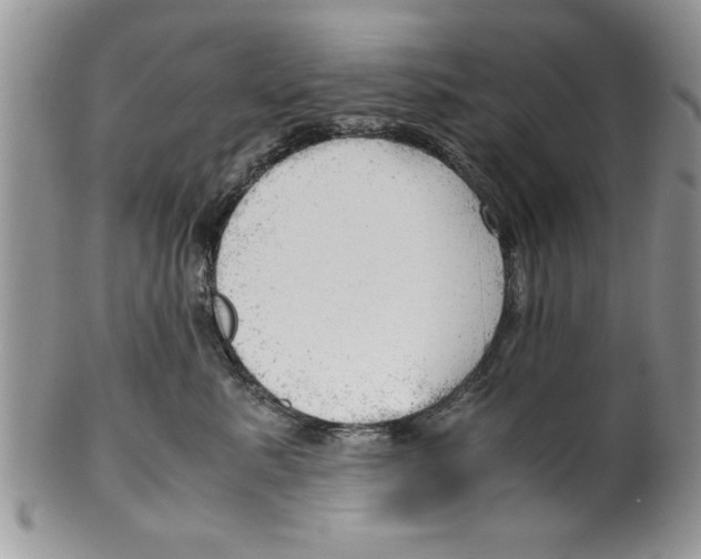 X0000099530619200806131129