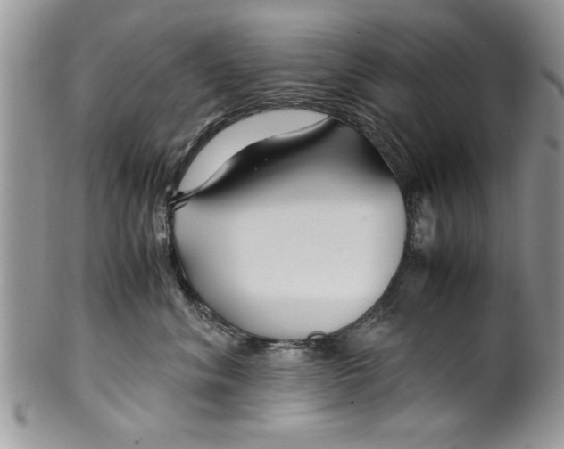 X0000099530620200806131129