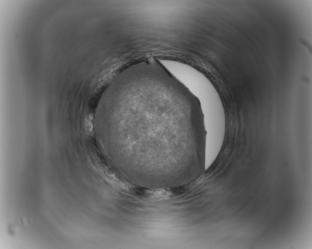 X0000099530621200806131129