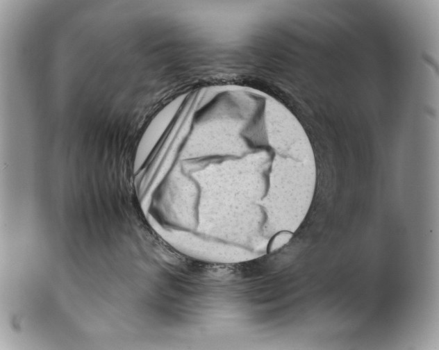 X0000099530624200806131128