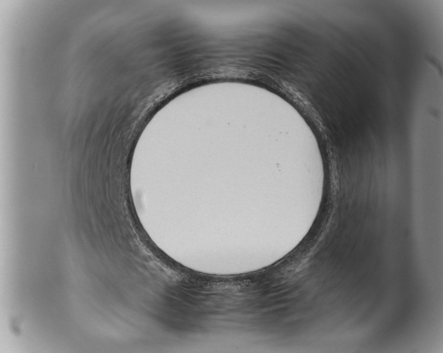 X0000099530625200806131128