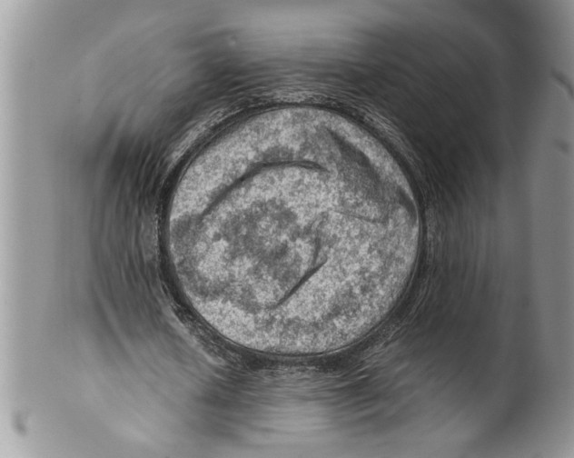 X0000099530626200806131128