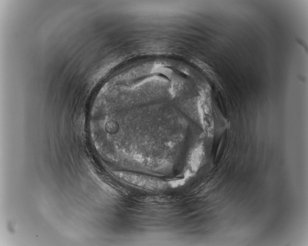 X0000099530627200806131128