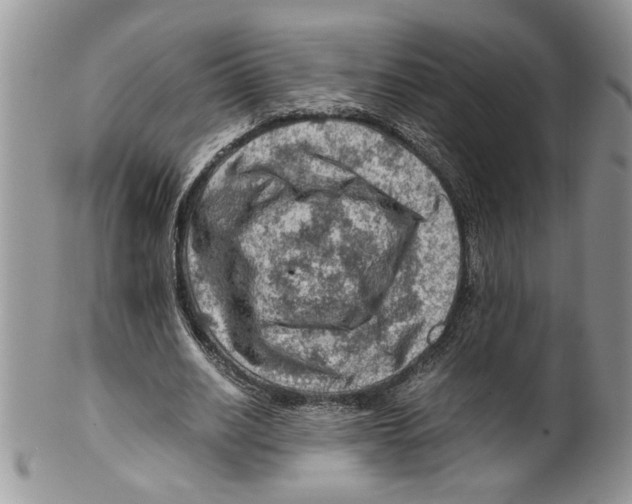 X0000099530630200806131128