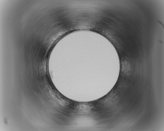 X0000099530632200806131128