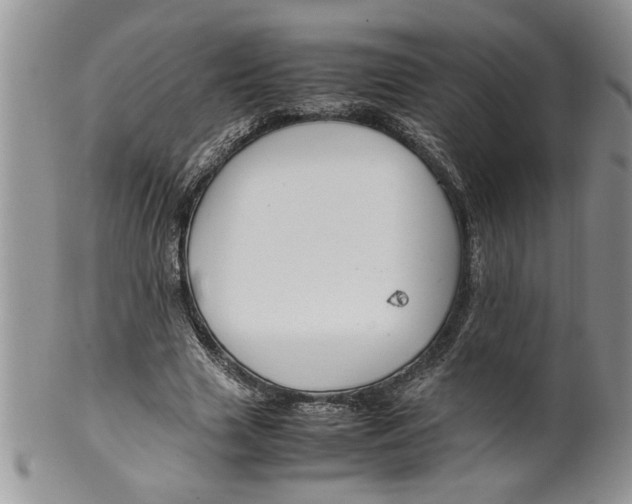 X0000099530633200806131128