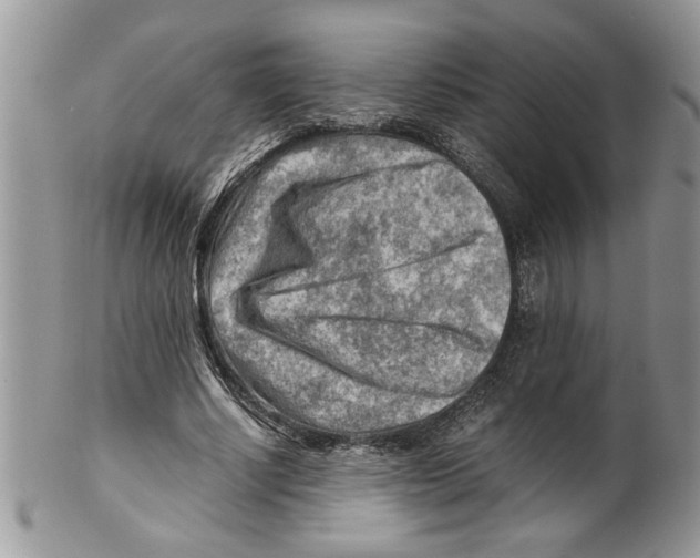 X0000099530634200806131128