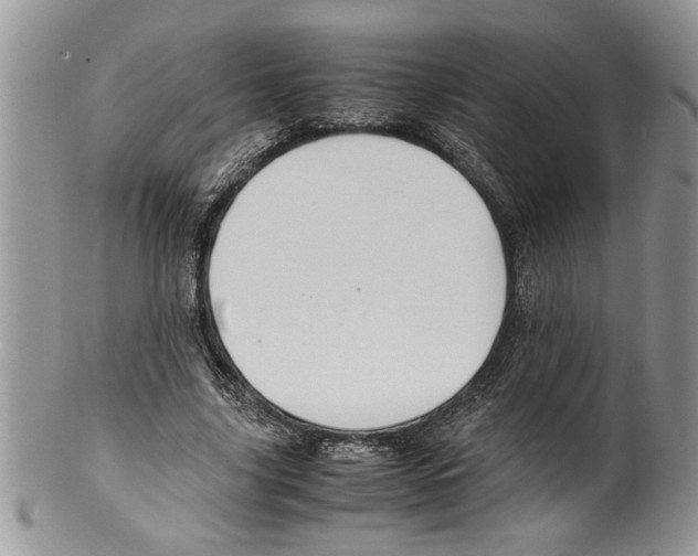 X0000099530635200806131128