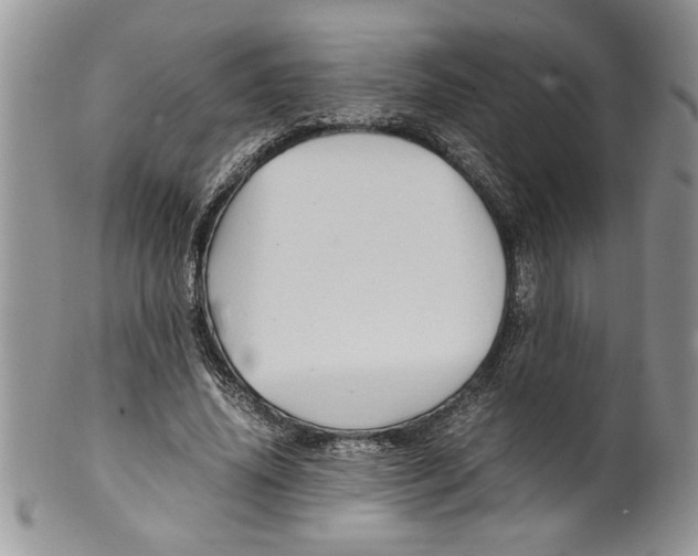 X0000099530636200806131128