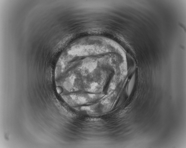 X0000099530637200806131128